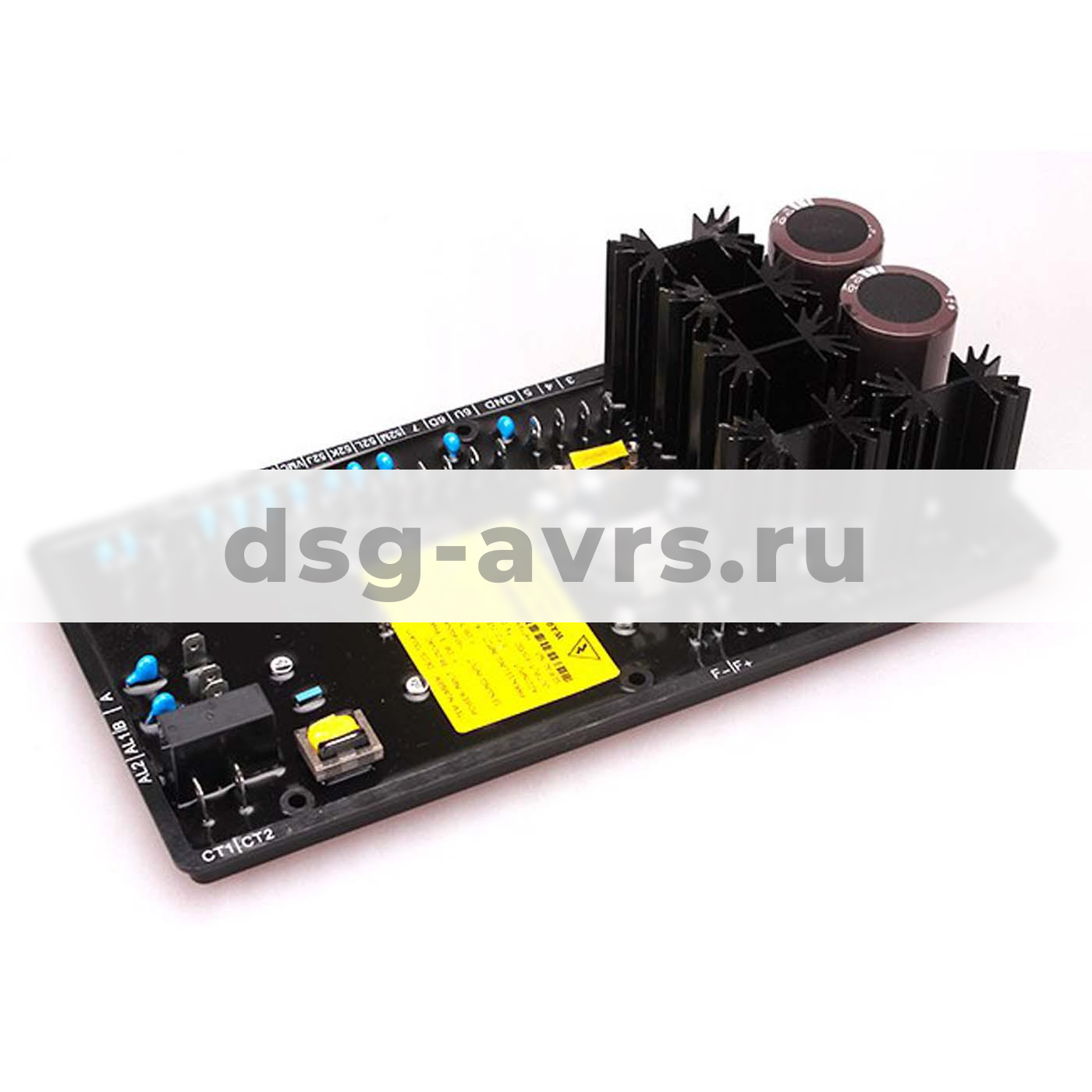 Цифровой регулятор напряжения DECS100 (DECS-100, DECS-100-B11, DECS-100-B15 )